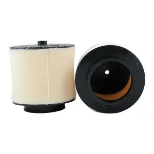 Air Filter Honda TRX Rancher 350