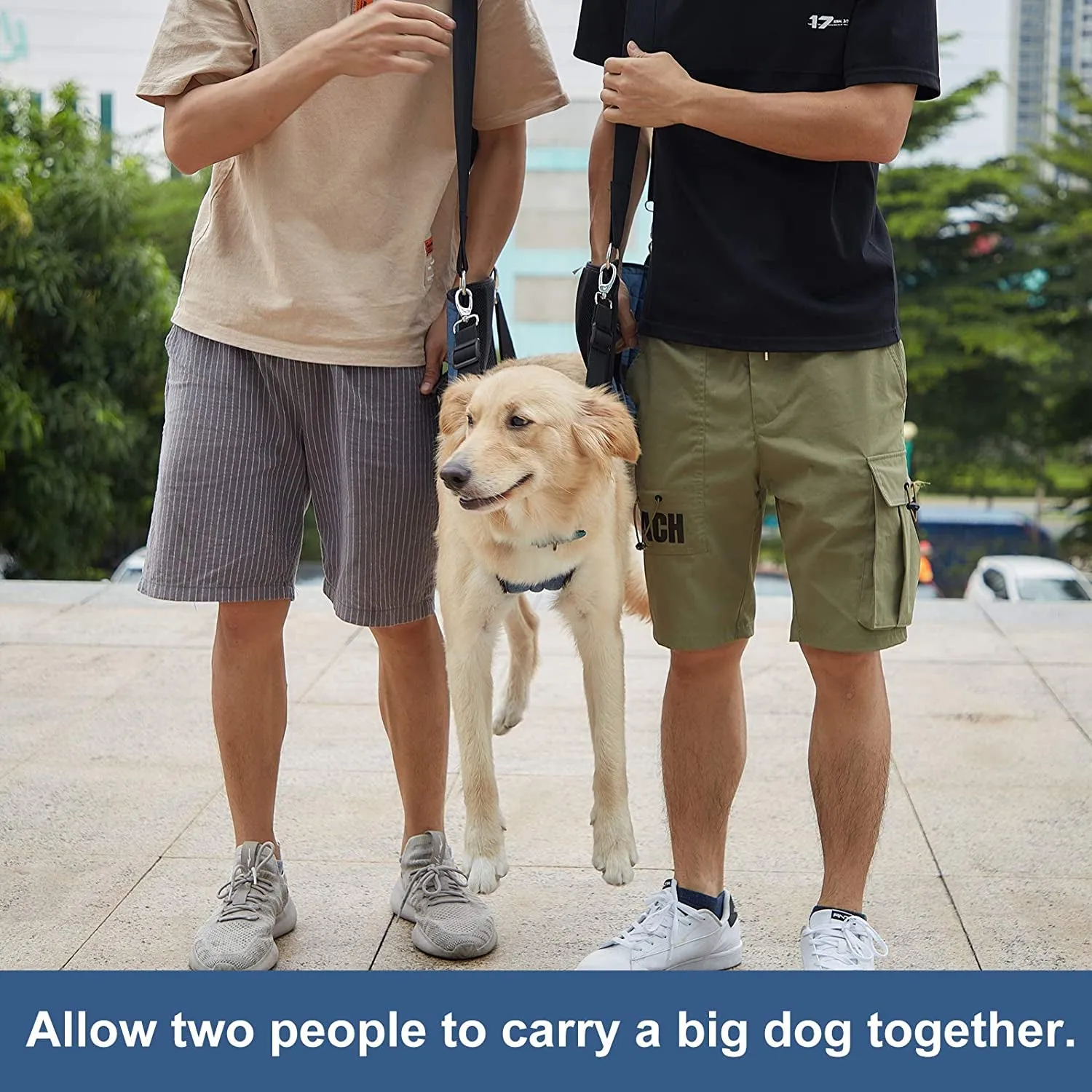 Dog Carry Sling, Emergency Backpack Pet Legs Support & Rehabilitation Dog Lift Harness for Nail Trimming, Dog Carrier for Senior Dogs Joint Injuries, Arthritis, up and down Stairs(Xl, Blue)