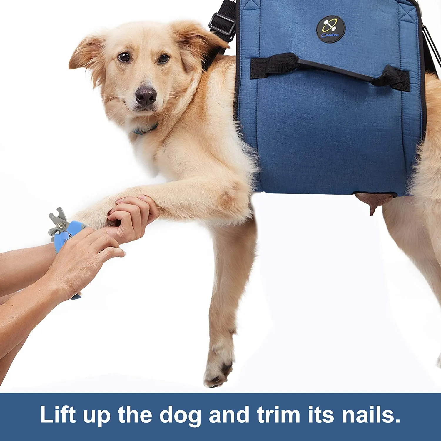 Dog Carry Sling, Emergency Backpack Pet Legs Support & Rehabilitation Dog Lift Harness for Nail Trimming, Dog Carrier for Senior Dogs Joint Injuries, Arthritis, up and down Stairs(Xl, Blue)