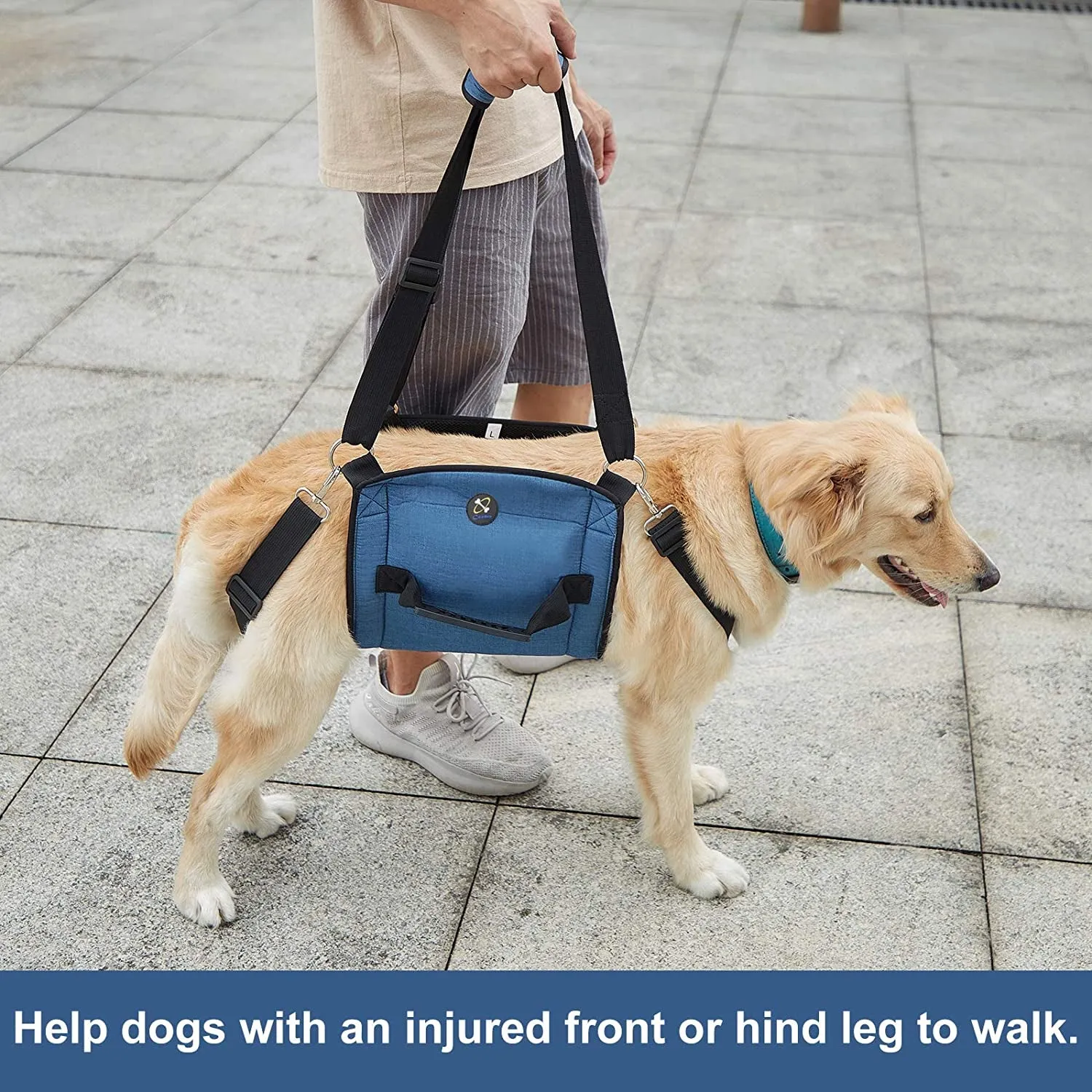 Dog Carry Sling, Emergency Backpack Pet Legs Support & Rehabilitation Dog Lift Harness for Nail Trimming, Dog Carrier for Senior Dogs Joint Injuries, Arthritis, up and down Stairs(Xl, Blue)