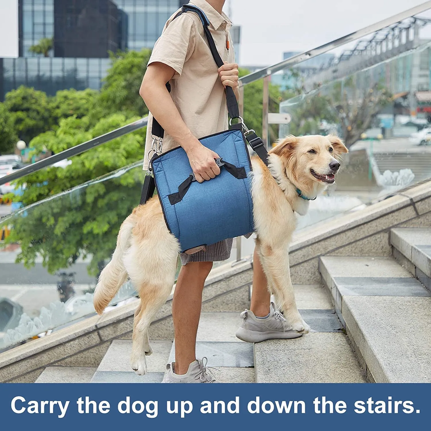 Dog Carry Sling, Emergency Backpack Pet Legs Support & Rehabilitation Dog Lift Harness for Nail Trimming, Dog Carrier for Senior Dogs Joint Injuries, Arthritis, up and down Stairs(Xl, Blue)