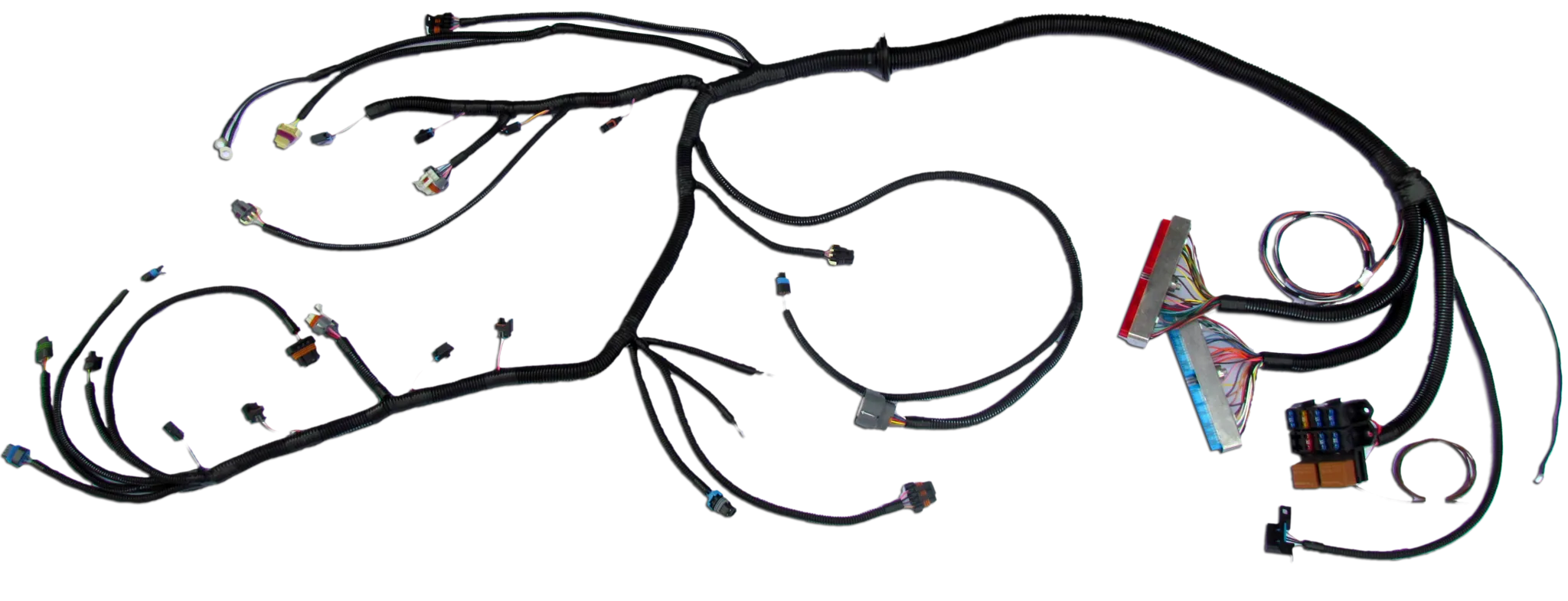 J30 LSx Swap Engine Harness - Gen 3 24X Engines