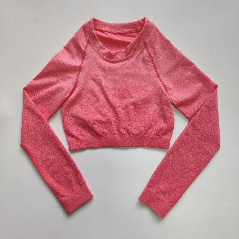 Ombre Seamless Top