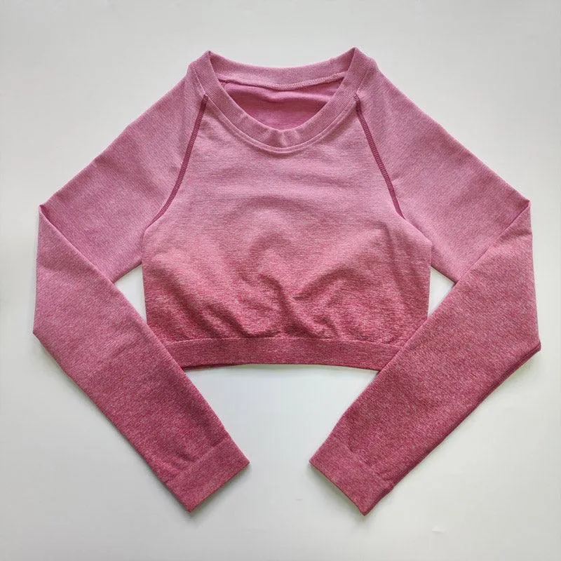 Ombre Seamless Top